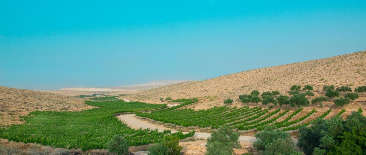 卡梅阿沃達特農場酒店 Midreshet Ben Gurion 外观 照片